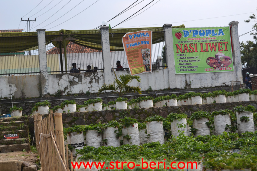 Tentang CV. Family Ciwidey